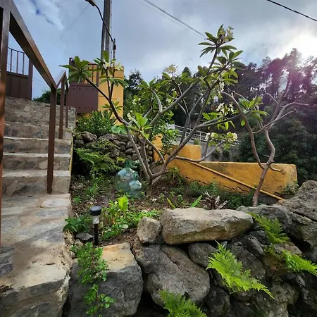 Vv Casa Muya Villa Icod De Los Vinos Exterior photo